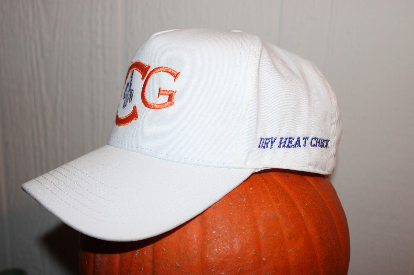 Cacti Guy "Dry Heat Check" White Blaze Hat