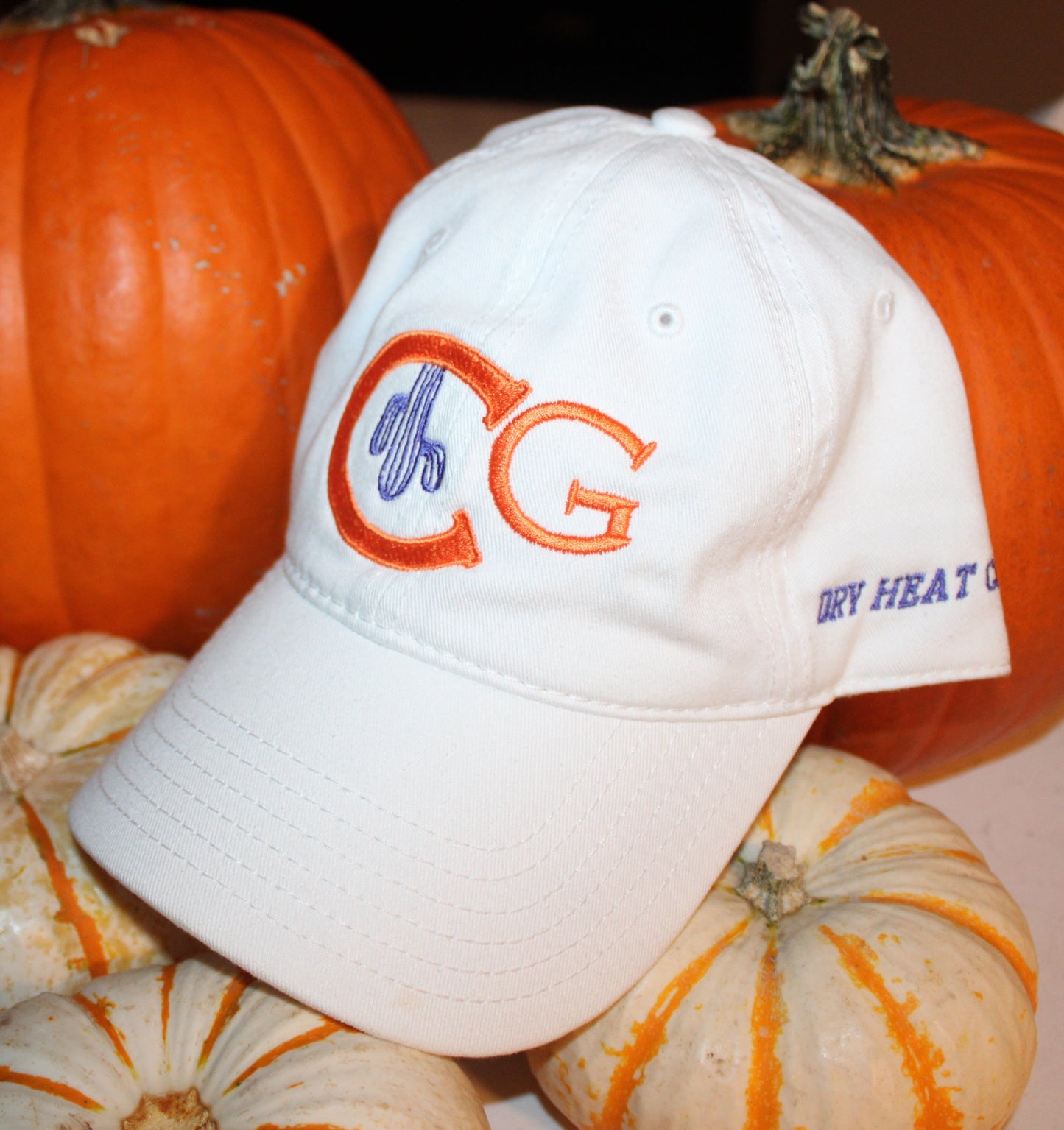 Cacti Guy "Dry Heat Check" White Blaze Dad Hat